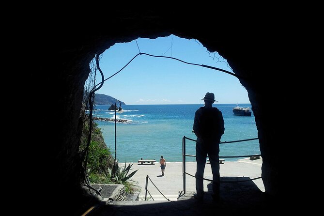 Cinque Terre Private Tour by Minivan and Ferry-Boat from Pisa - Manarola Stop: Colorful Streets With Panoramic Payoff