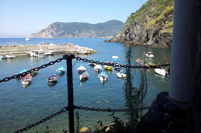 Cinque Terre Private Tour by Minivan and Ferry-Boat Shore excursion from Livorno - Boat vs Train on the Coast: How Weather Changes Your Day