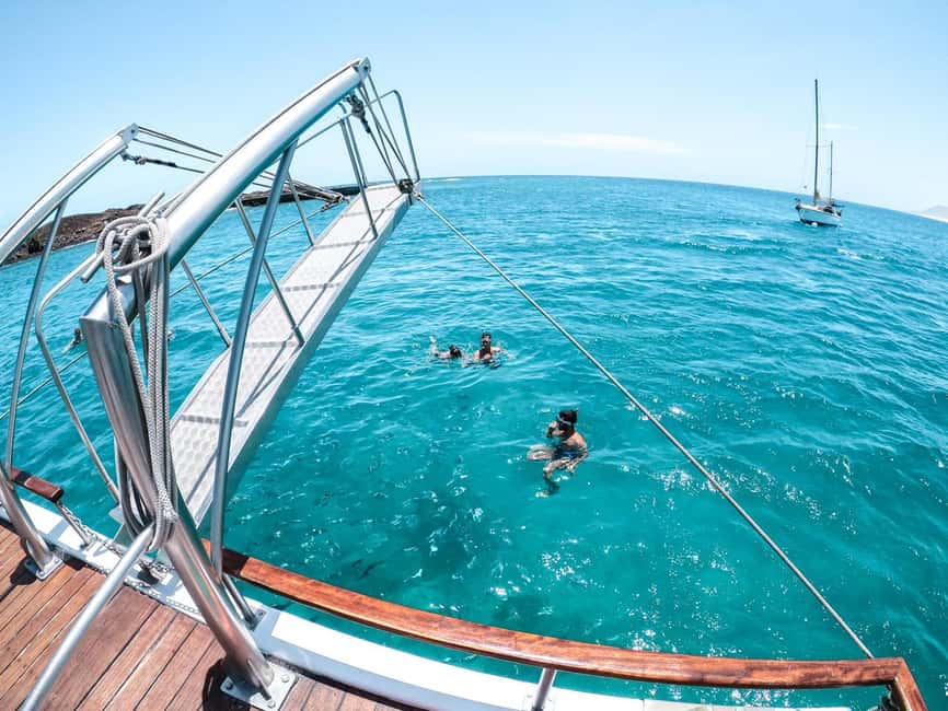 Corralejo: Snorkeling on Lobos Island & Return Ferry Ticket - Corralejo to Lobos: How the day trip actually flows