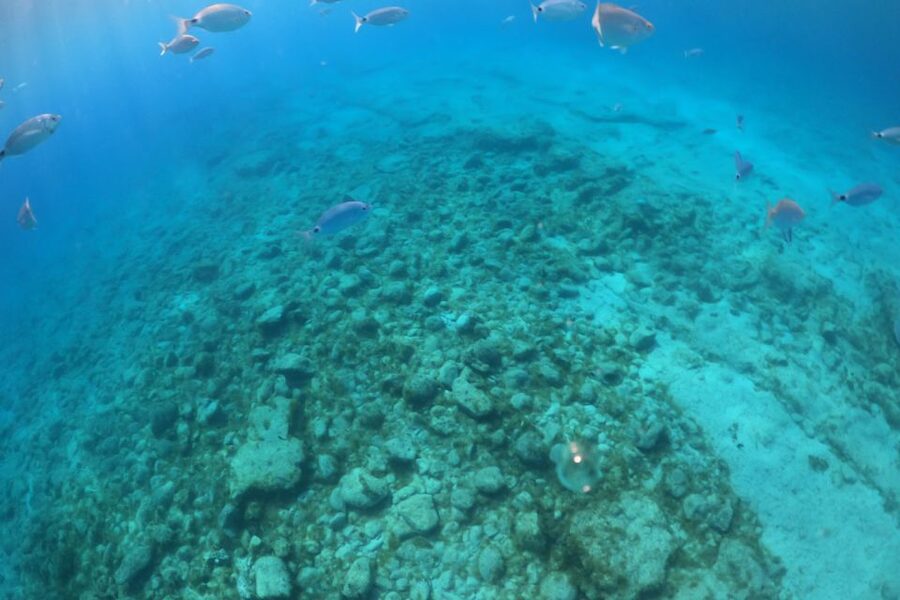 Corralejo: Snorkeling on Lobos Island & Return Ferry Ticket - Timing your return: pick a ferry that matches your hiking mood