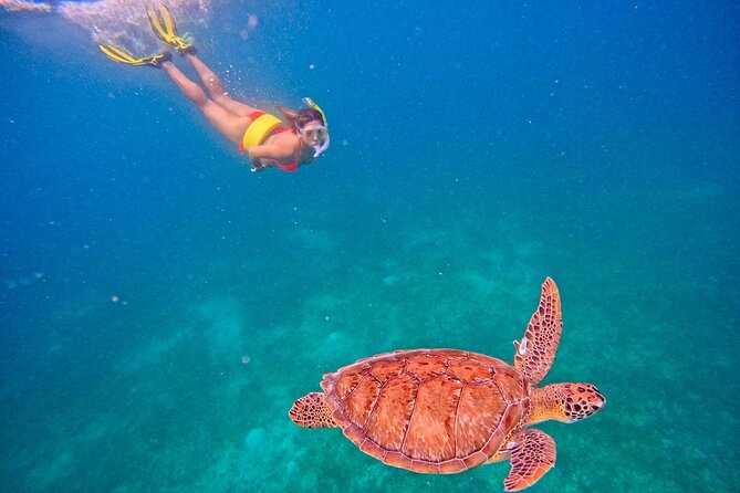 Culebra Swim with Turtles Adventure and Flamenco Beach by Ferry - Photos and guides: why the memories feel handled, not accidental