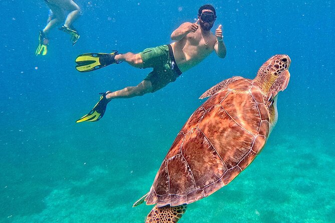 Culebra Swim with Turtles Adventure and Flamenco Beach by Ferry - The full schedule from Ceiba Ferry Terminal to Flamenco Beach