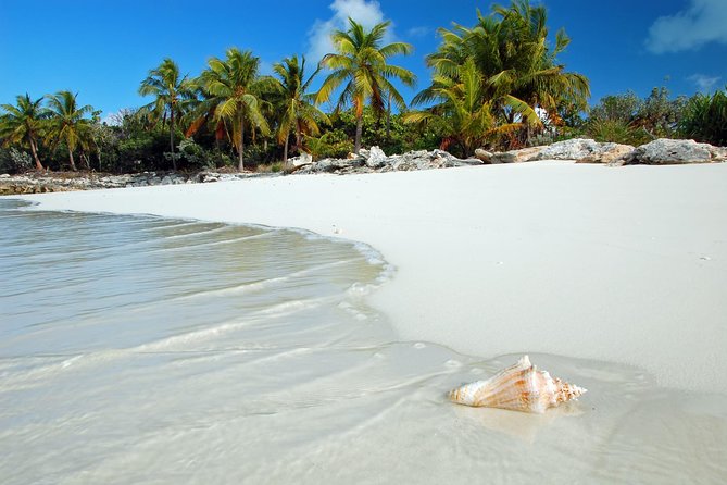 Day Trip to Bimini, Bahamas - Ferry Tickets - Your Bimini day plan: beaches, walking, and the day pass option