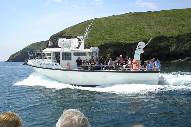 Dingle to Blasket Island Ferry - Practical logistics that affect your comfort