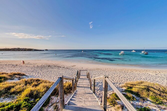 Discover Rottnest with Ferry & Bus Tour - Wadjemup Lighthouse and West End Boardwalk: Quick Stops That Pay Off