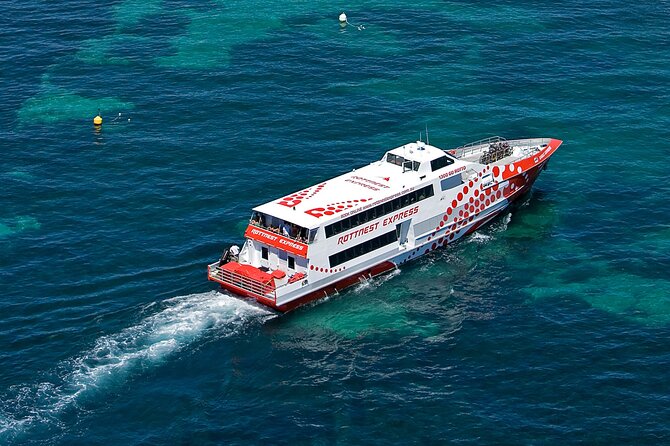 Discover Rottnest with Ferry & Bus Tour - What to Pack: Wind, Insects, and Choppy Water