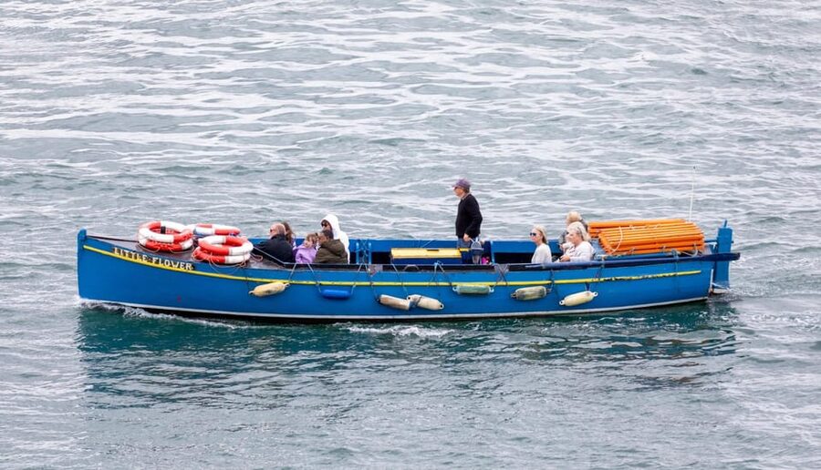 Dublin: Ferry from Howth to Ireland's Eye island - Who should book this ferry, and who should skip it