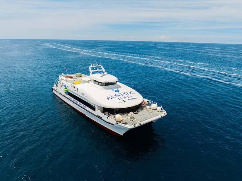 Dubrovnik to/from Kotor: Day Trip or One-Way by Fast Ferry - The Return Side: 16:30 Check-In and Staying Ahead of Lines