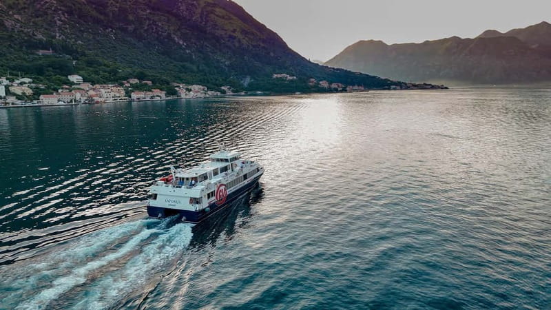 Dubrovnik to/from Kotor: Day Trip or One-Way by Fast Ferry - Price and Value: Is $64 Worth It?