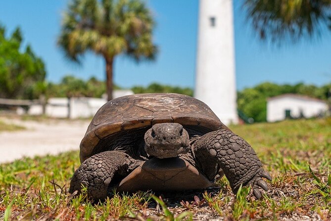 Egmont Key Ferry from Ft. DeSoto Park - The 45–60 Minute Ride: Wildlife Odds, Board Music, and Restroom Timing