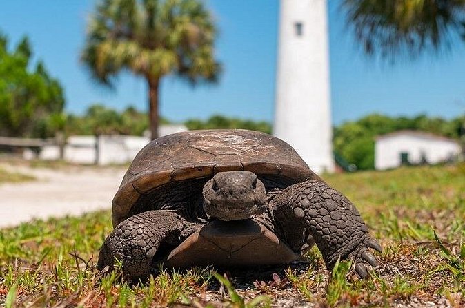 Egmont Key Ferry from Ft. DeSoto Park - How to Spend Your Time on the Key Without Rushing Yourself