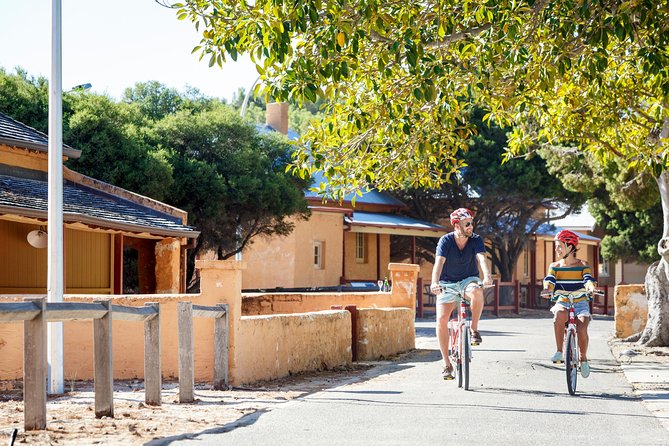 Experience Rottnest with Ferry & Bike Hire - The Basin and Optional Snorkel Time: Where the Swim Feels Worth It