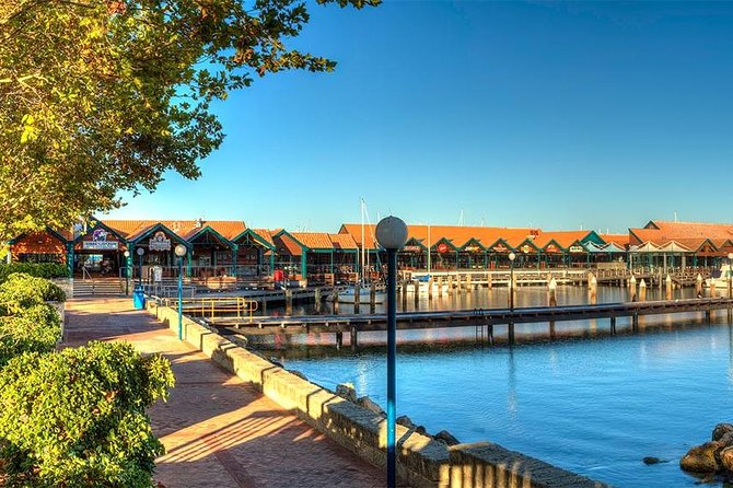 Experience Rottnest with Ferry & Bike Hire - Price and Value: Is $86.43 Good for What You Get?