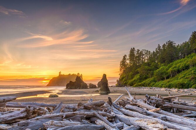 Explore Olympic National Park from Seattle through Van /Ferry - Key things to know before you go