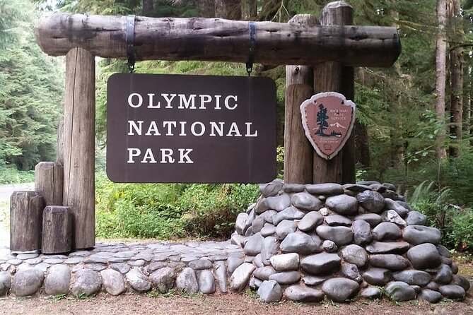 Explore Olympic National Park from Seattle through Van /Ferry - Marymere Falls hike: the trail that turns a long day into a win