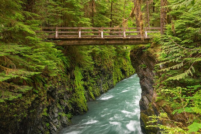 Explore Olympic National Park from Seattle through Van /Ferry - Olympic Game Farm: animal encounters that can be worth it, if you budget right
