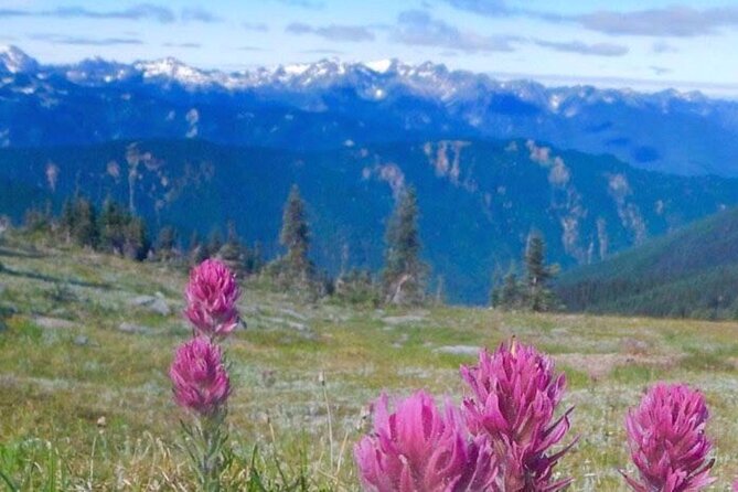 Explore Olympic National Park from Seattle through Van /Ferry - Bainbridge Island stop: skyline views and a calm first stretch