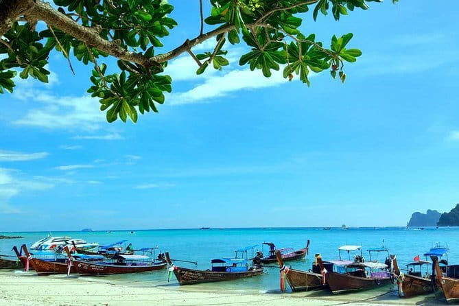Explore Phi Phi Islands by Ferry – Snorkeling & Lunch Included - Maya Bay: The 100-Metre Cliffs and the Low-Tide Trick