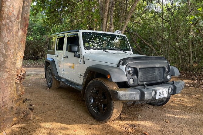 Fajardo Ceiba Ferry Marina Taxi to San Juan Taxi Transportation - Key Highlights You’ll Actually Care About