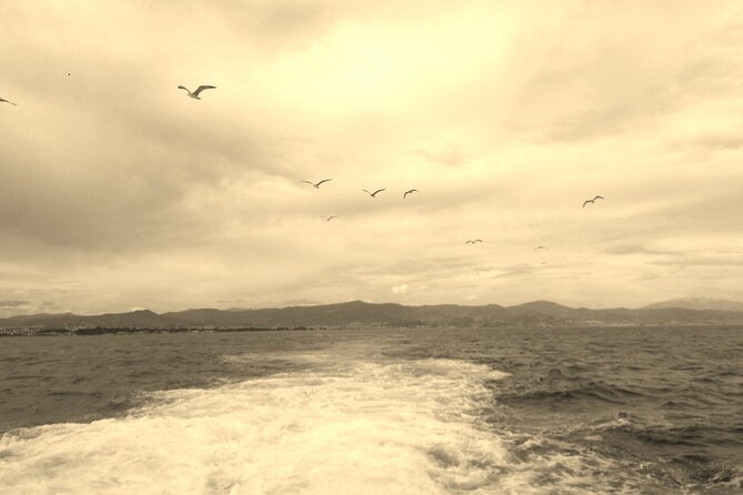 Ferry Benalmádena <> Fuengirola - The Final Approach: Puerto Deportivo Fuengirola and Free Time You Can Actually Use