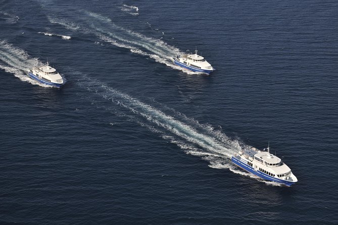 Ferry from Cannes to St Tropez - Your St Tropez day: old port yachts, citadel views, and art stops