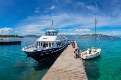 Ferry from Nice to the Island Sainte Marguerite - Ile Sainte-Marguerite at your pace: trails, birds, and plant stops