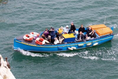 Ferry to Ireland's Eye in Howth - Wildlife Realities: Puffins, Gannets, and Seals Without the Hype