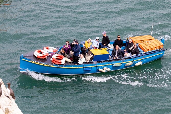 Ferry to Ireland's Eye in Howth - Wildlife Realities: Puffins, Gannets, and Seals Without the Hype