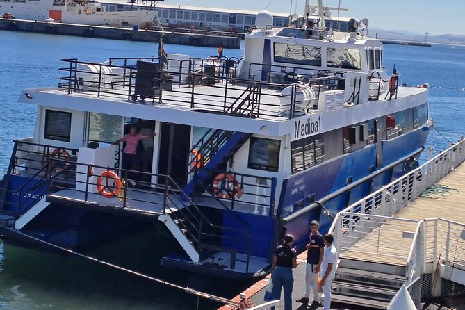 Ferry Tour to Robben Island Museum with One Way Hotel Transfer - The waterfront clock tower and ferry ride views