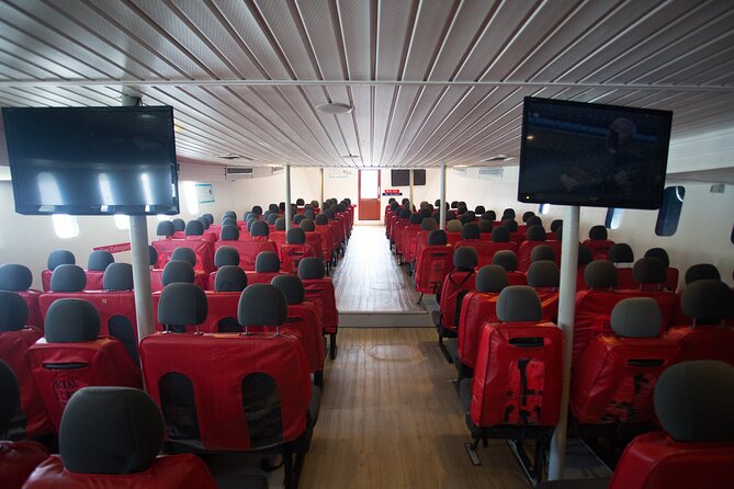 Ferry Transfer from Krabi Klong Jilad Pier to Phi Phi Tonsai - Value for $14.12: What You Pay, What You Skip