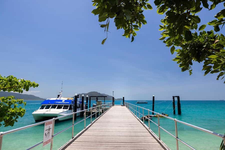Fitzroy Island: Full-Day Ferry & Snorkel Safari Guided Tour - Key things to know before you go