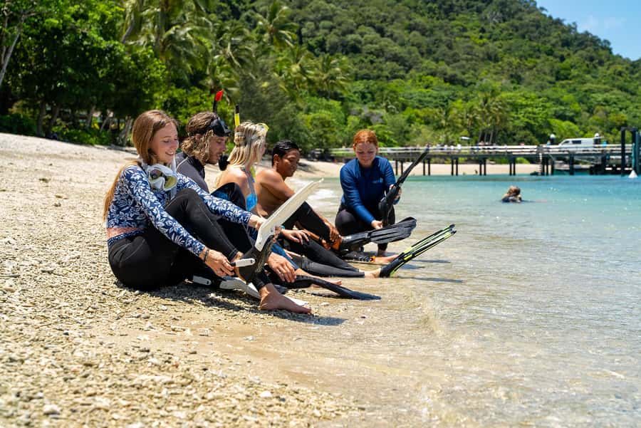 Fitzroy Island: Full-Day Ferry & Snorkel Safari Guided Tour - Price and value: is $118 worth it?