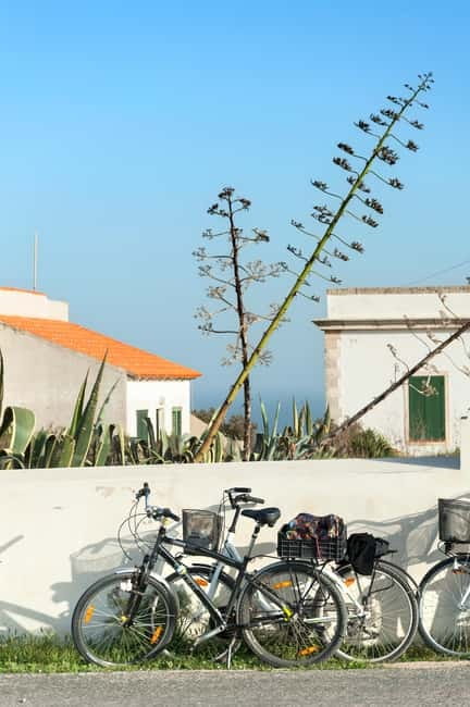 Formentera: discover our fast ferry + bike package - Key Things You Should Know Before You Go