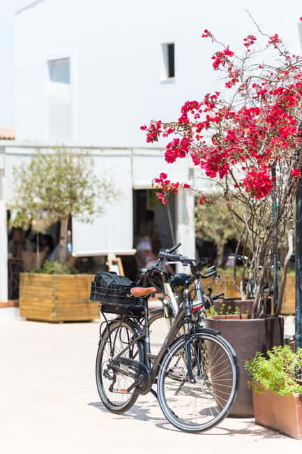 Formentera: discover our fast ferry + bike package - Getting to Formentera: 30 Minutes From Ibiza to La Savina