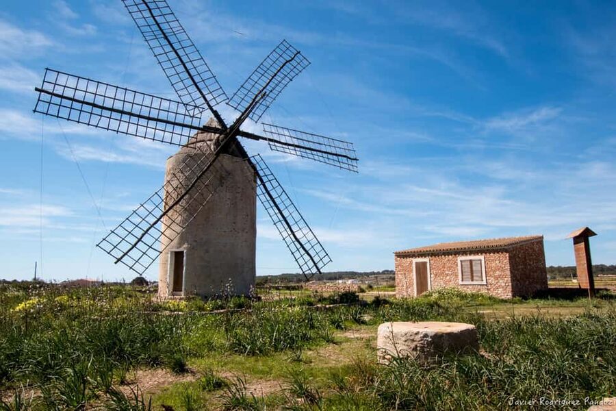 Formentera: discover our fast ferry + electric bike package. - Your self-guided itinerary on Formentera: coves, villages, and pacing