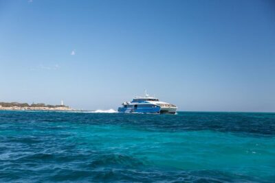 Fremantle to Rottnest Island Roundtrip Ferry Ticket - Where you board in Fremantle (and how to avoid last-minute confusion)
