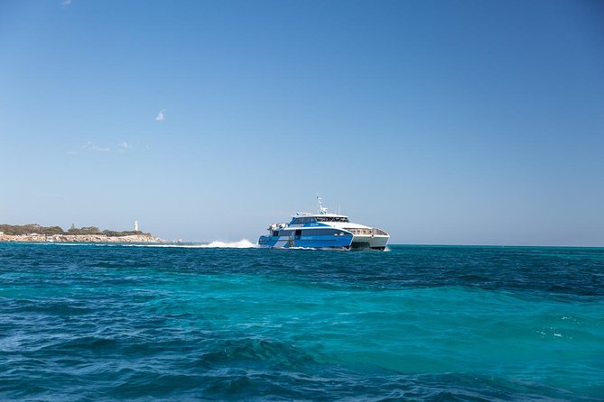 Fremantle to Rottnest Island Roundtrip Ferry Ticket - Where you board in Fremantle (and how to avoid last-minute confusion)