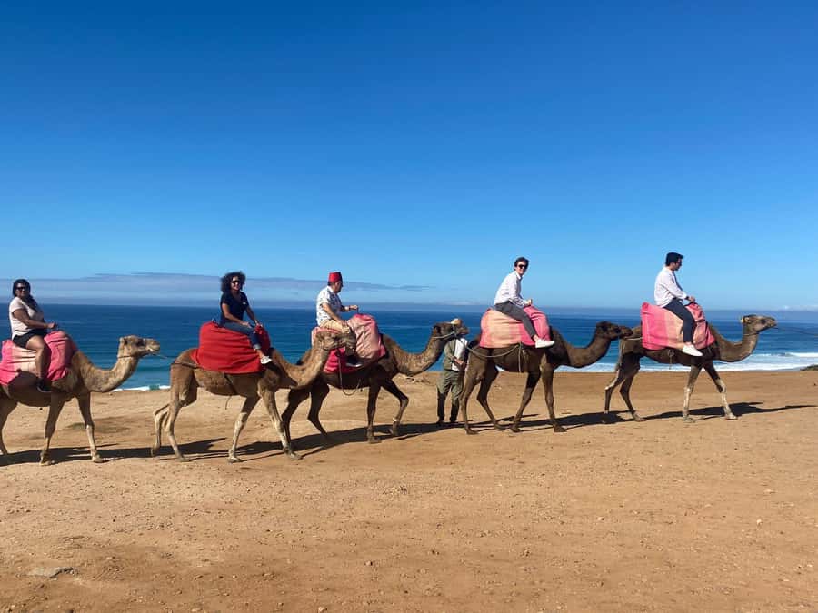 From Cádiz Bay: Tangier Day Trip with Ferry & Local Guide - Tangier with a local guide: medina streets and Kasbah viewpoints