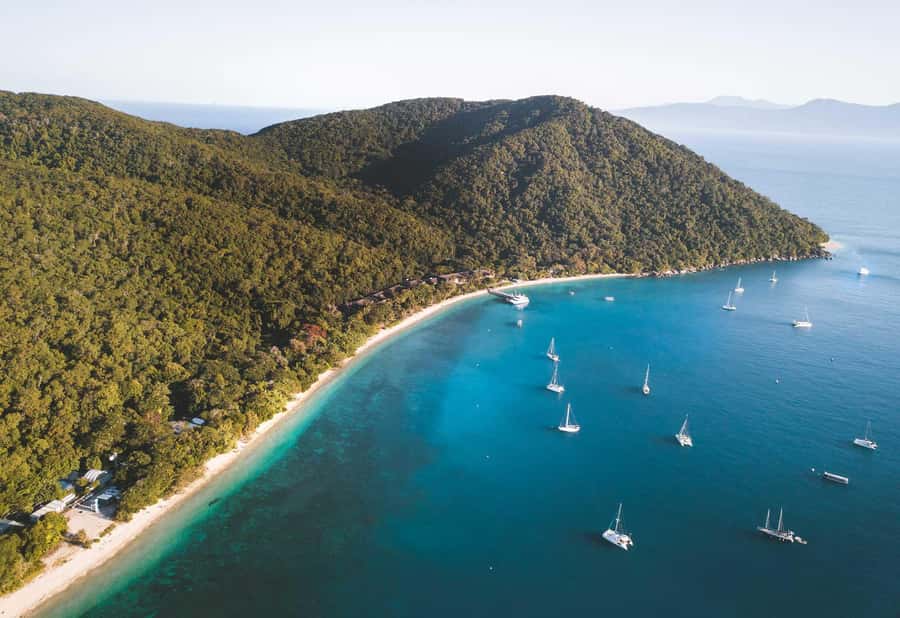 From Cairns: Fitzroy Island Day Trip by Ferry - Key highlights at a glance