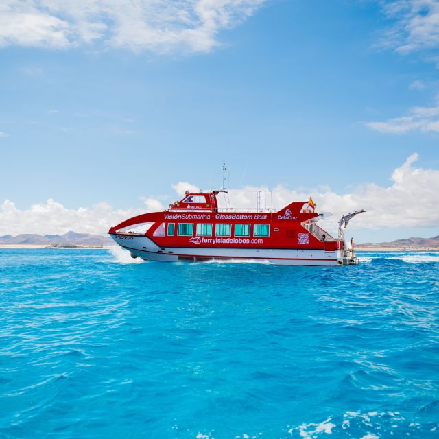 From Caleta de Fuste: Return Bus and Ferry to Lobos Island - Key things to know before you go