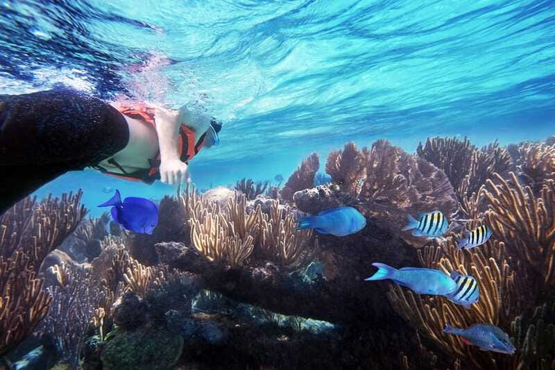 From Cancun: Garrafon Reef Park Admission with Ferry Tickets - What to Bring (and What to Don’t Forget in a “Wet” Day Trip)