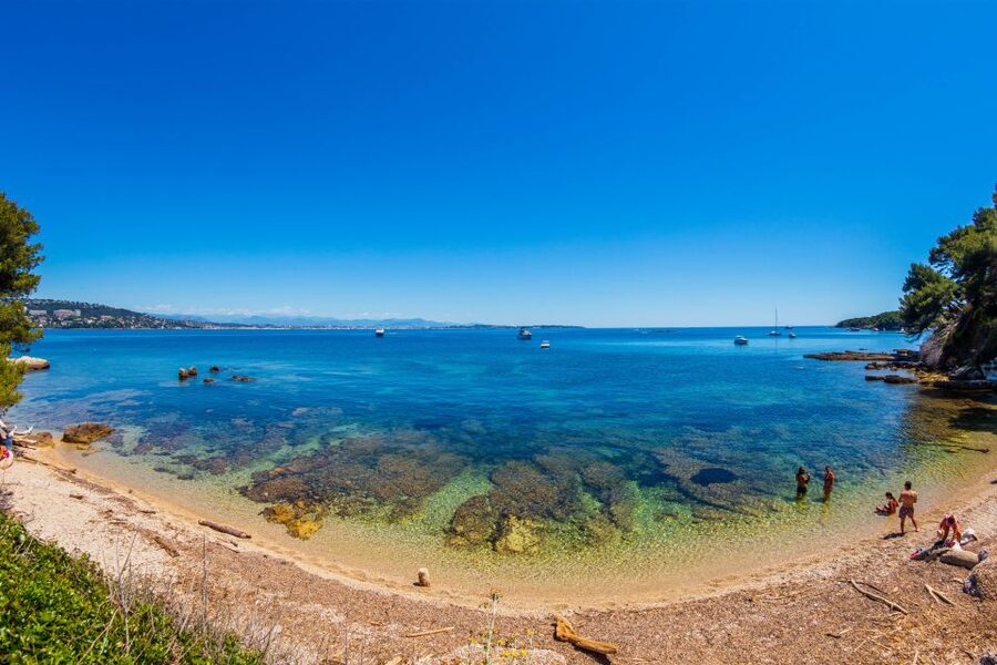 From Cannes: Round-Trip Ferry to Ste. Marguerite Island - Swim spots, picnic logic, and what gear makes the day smoother