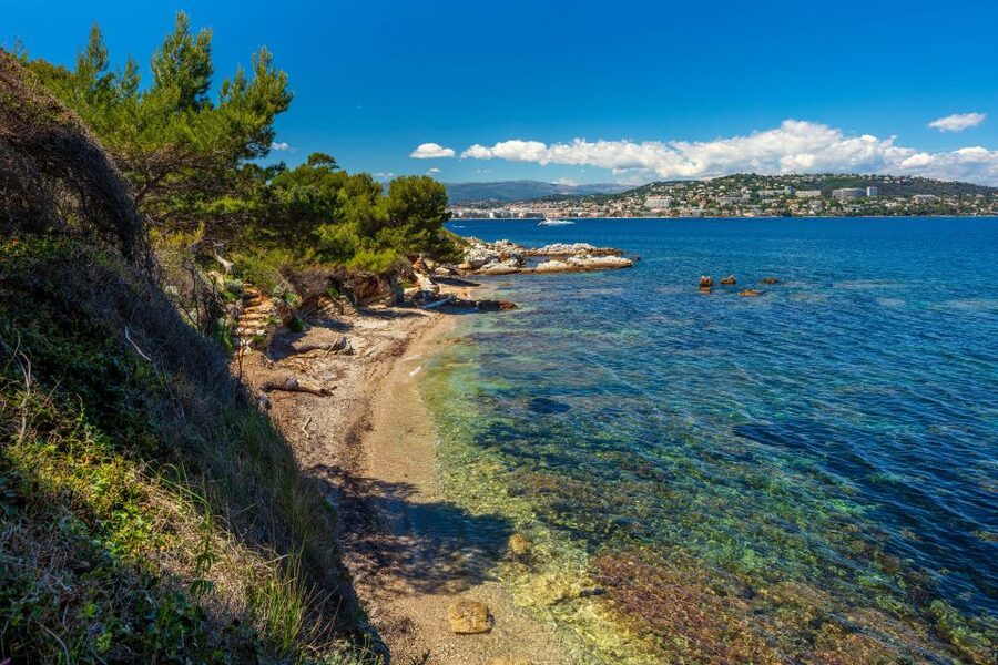 From Cannes: Round-Trip Ferry to Ste. Marguerite Island - Batéguier Pond: the easiest wildlife stop you’ll remember