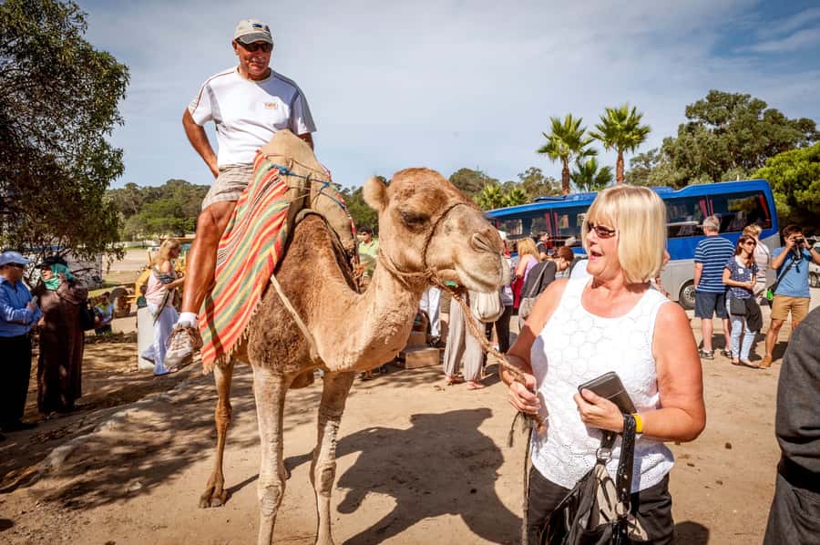 From Costa del Sol: Tangier Full-Day Tour by Ferry - How the bus + ferry timing shapes your entire day