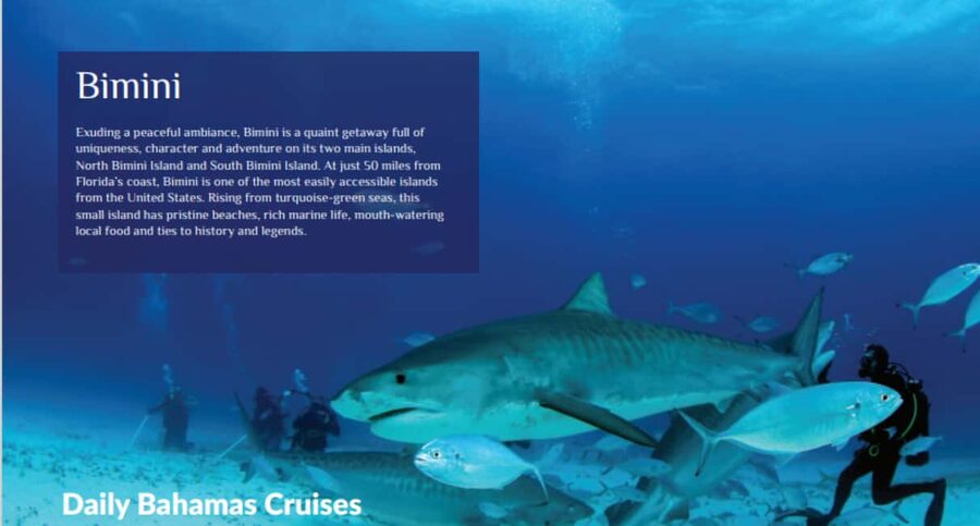 From Fort Lauderdale: Bimini Island Day Trip by Ferry - Practical Stuff That Can Save Your Day