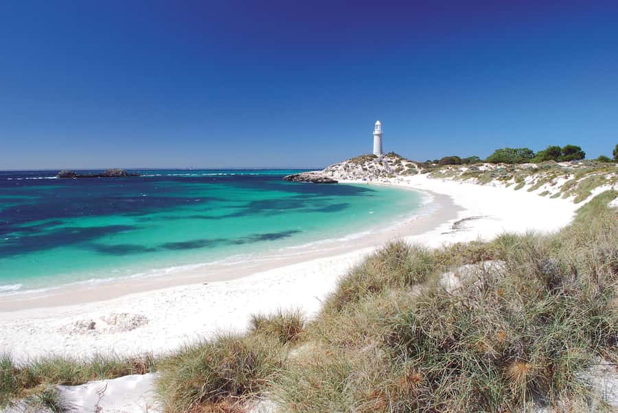 From Fremantle: Rottnest Island Ferry and Bike Day Tour - Wind, Hills, and Fitness: Who This Tour Suits Best