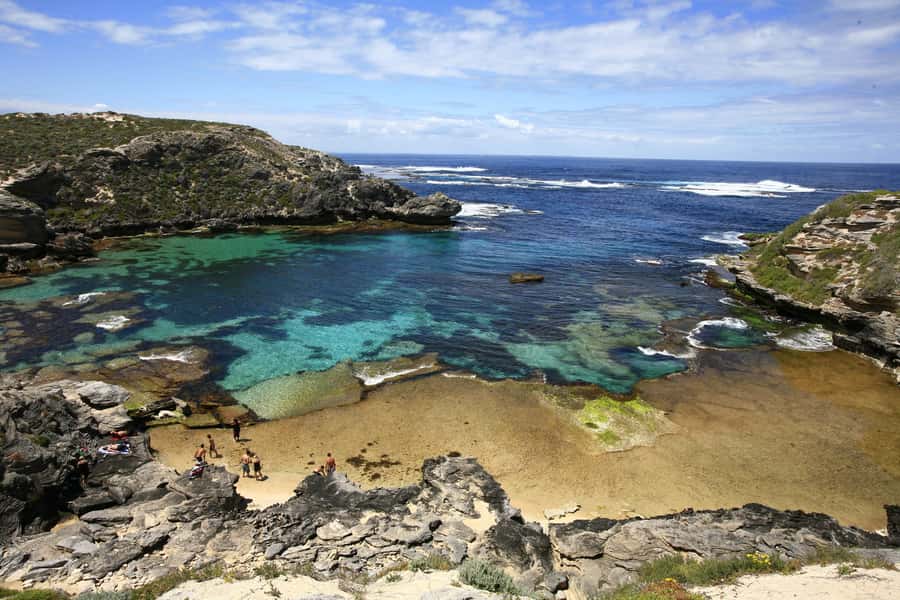 From Fremantle: Rottnest Island Ferry & Bus Day Tour - Key highlights to know before you go