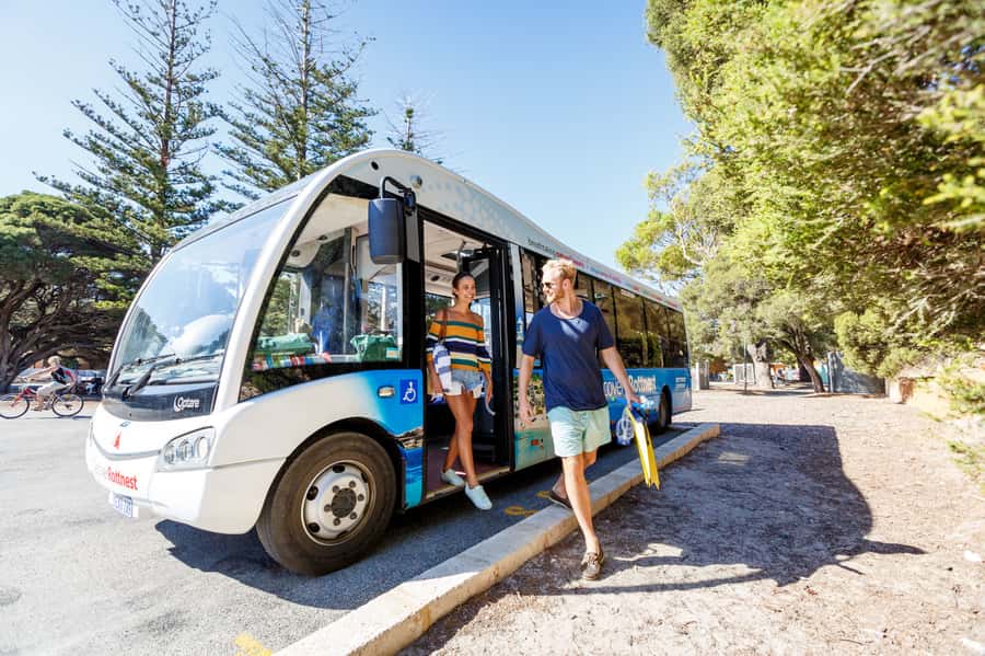 From Fremantle: Rottnest Island Ferry & Bus Day Tour - Getting to Rottnest: the ferry ride from Fremantle