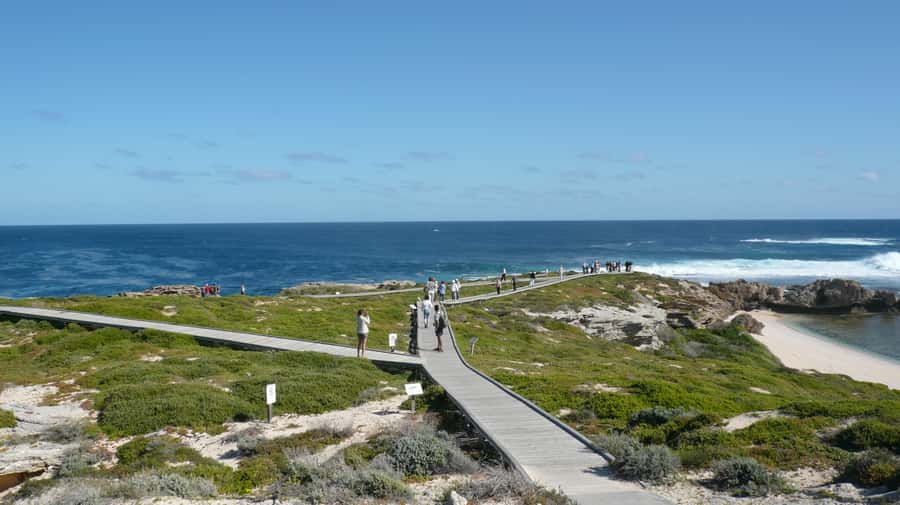 From Fremantle: Rottnest Island Ferry & Bus Day Tour - Wadjemup Lighthouse, coves, and views you can plan your day around