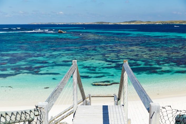 From Fremantle: Rottnest Island Ferry & Bus Day Tour - Food, timing, and the one-day reality